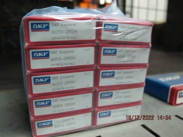 SKF Photo 62